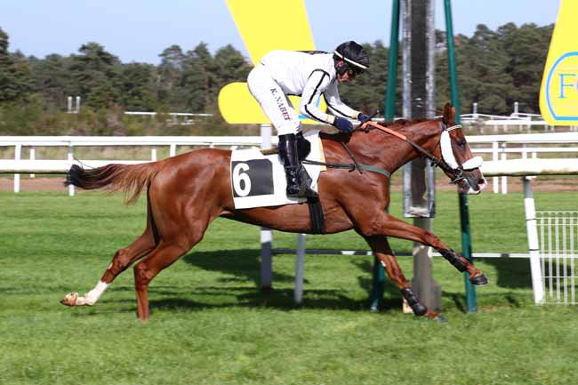 Photo d'arrivée de la course pmu PRIX DE LA TABLE DU ROI à FONTAINEBLEAU le Mardi 10 octobre 2023