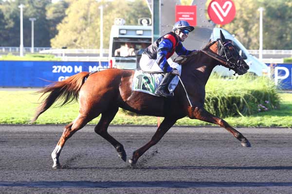 Photo d'arrivée de la course pmu PRIX NYSA à PARIS-VINCENNES le Mardi 10 octobre 2023