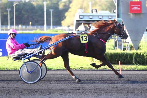 Photo d'arrivée de la course pmu PRIX DAPHNE à PARIS-VINCENNES le Mardi 10 octobre 2023