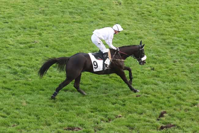 Photo d'arrivée de la course pmu PRIX SOULANGE-BODIN à AUTEUIL le Samedi 14 octobre 2023