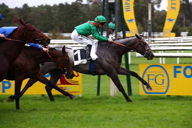 Photo d'arrivée de la course pmu PRIX DE LA FAISANDERIE à FONTAINEBLEAU le Samedi 14 octobre 2023