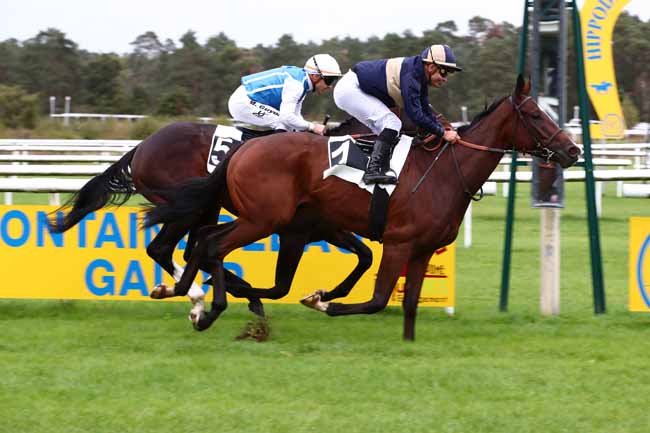 Photo d'arrivée de la course pmu PRIX DES BICHES à FONTAINEBLEAU le Samedi 14 octobre 2023