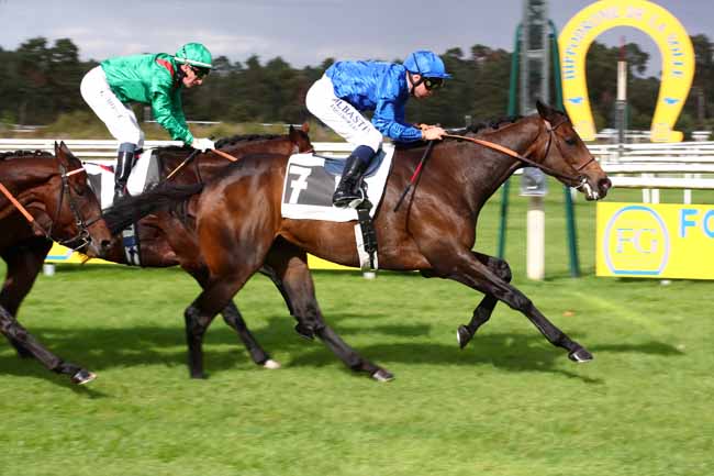 Photo d'arrivée de la course pmu PRIX DES MYOSOTIS à FONTAINEBLEAU le Samedi 14 octobre 2023