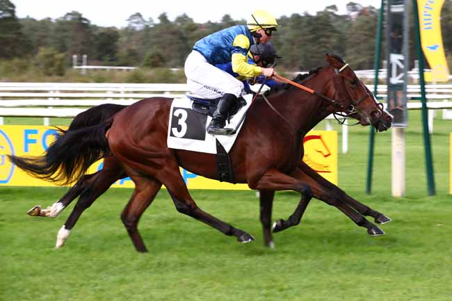 Photo d'arrivée de la course pmu PRIX TECHSTAR FONTAINEBLEAU BY AUTOSPHERE (PRIX DE LA LANDE DE BRUYERE) à FONTAINEBLEAU le Samedi 14 octobre 2023
