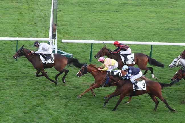 Photo d'arrivée de la course pmu PRIX DE LA PLACE DES FETES à LONGCHAMP le Dimanche 15 octobre 2023