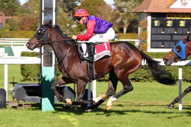 Photo d'arrivée de la course pmu MERCI A NOTRE EQUIPE (PRIX DES LISERONS) à CLAIREFONTAINE le Lundi 16 octobre 2023