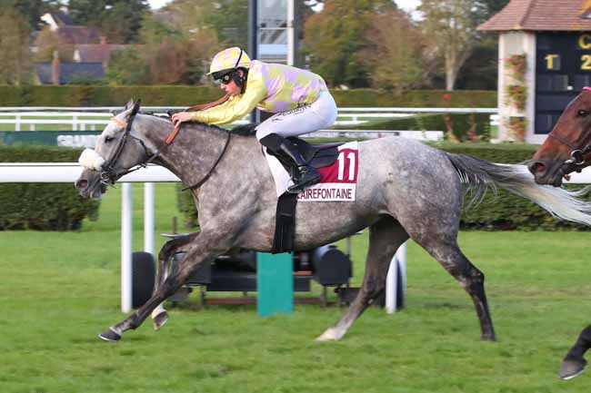 Photo d'arrivée de la course pmu PRIX MERCI AUX LOISIRS PARTENAIRES 2023 (PRIX DU BOTTEY) à CLAIREFONTAINE le Lundi 16 octobre 2023