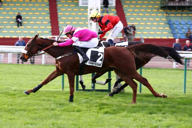 Photo d'arrivée de la course pmu PRIX LOUIS CHAMPION à COMPIEGNE le Lundi 16 octobre 2023
