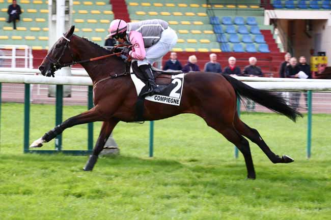 Photo d'arrivée de la course pmu PRIX DU SIMPLON à COMPIEGNE le Lundi 16 octobre 2023
