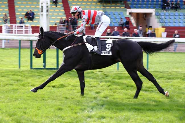 Photo d'arrivée de la course pmu PRIX JUMNA à COMPIEGNE le Lundi 16 octobre 2023