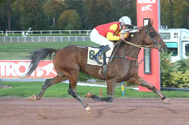 Photo d'arrivée de la course pmu PRIX DE JONQUIERES à ENGHIEN le Lundi 16 octobre 2023