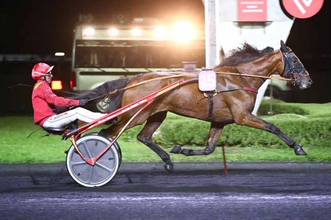 Photo d'arrivée de la course pmu PRIX ARETHUSA à PARIS-VINCENNES le Mardi 17 octobre 2023