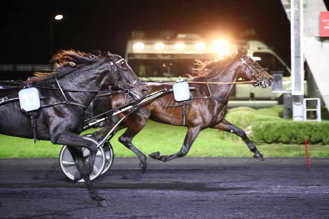 Photo d'arrivée de la course pmu PRIX ALGORAH à PARIS-VINCENNES le Mardi 17 octobre 2023