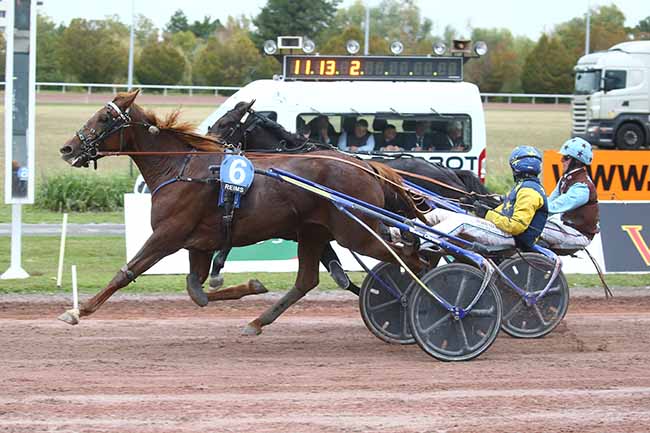Photo d'arrivée de la course pmu PRIX TOYOTA REIMS (PRIX OSCAR COLLARD) à REIMS le Mercredi 18 octobre 2023