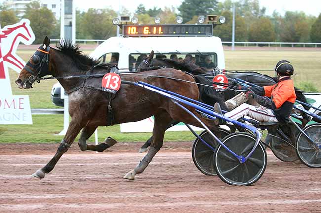 Photo d'arrivée de la course pmu PRIX LEXUS REIMS (PRIX READY CASH) à REIMS le Mercredi 18 octobre 2023
