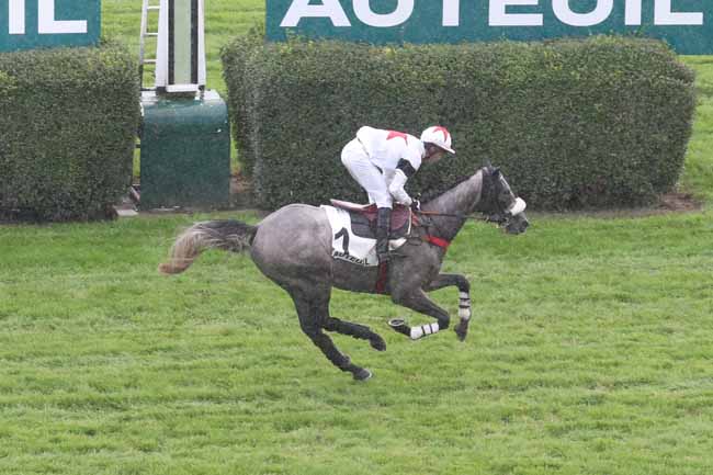 Photo d'arrivée de la course pmu PRIX NOIRO à AUTEUIL le Vendredi 20 octobre 2023