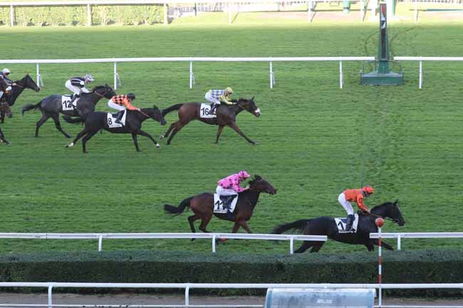 Photo d'arrivée de la course pmu PRIX DE L'AVENUE MADAME DE SEVIGNE à SAINT CLOUD le Dimanche 22 octobre 2023