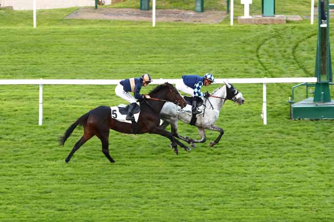 Photo d'arrivée de la course pmu PRIX DU HARAS DE LA CELLE-SAINT-CLOUD à SAINT CLOUD le Dimanche 22 octobre 2023