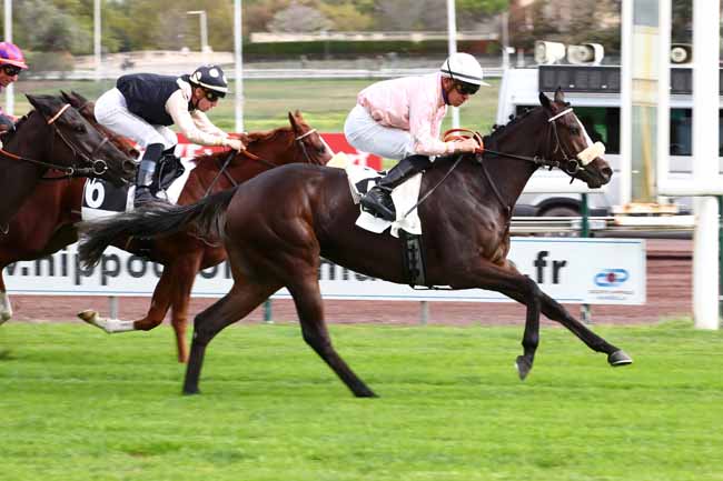Photo d'arrivée de la course pmu PRIX DE PELISSANNE à MARSEILLE BORELY le Lundi 23 octobre 2023