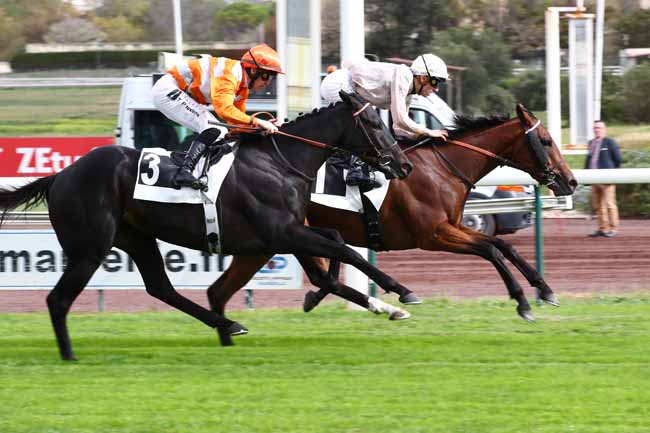 Photo d'arrivée de la course pmu PRIX GYPTIS ET PROTIS à MARSEILLE BORELY le Lundi 23 octobre 2023