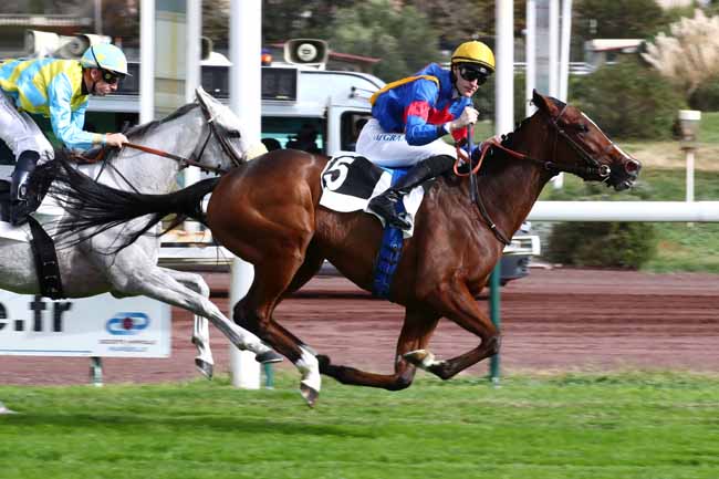 Photo d'arrivée de la course pmu PRIX DELAHANTE à MARSEILLE BORELY le Lundi 23 octobre 2023