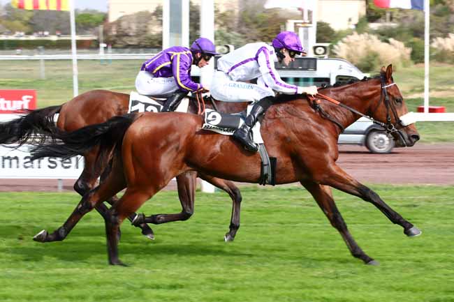 Photo d'arrivée de la course pmu PRIX #RACEANDCARE (PRIX DE BELSUNCE) à MARSEILLE BORELY le Lundi 23 octobre 2023