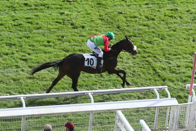 Photo d'arrivée de la course pmu PRIX SANTO PIETRO à AUTEUIL le Mardi 24 octobre 2023