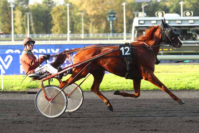 Photo d'arrivée de la course pmu PRIX ALHENA à PARIS-VINCENNES le Mardi 24 octobre 2023