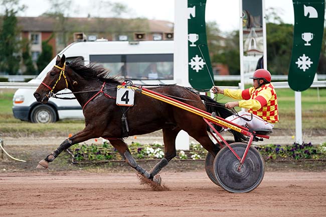 Photo d'arrivée de la course pmu PRIX DE L'HIPPDROME D'AGEN à TOULOUSE le Mercredi 25 octobre 2023