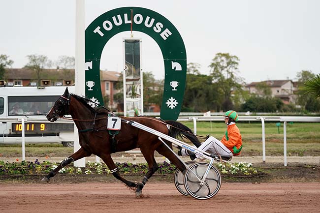 Photo d'arrivée de la course pmu PRIX ACTU TOULOUSE à TOULOUSE le Mercredi 25 octobre 2023