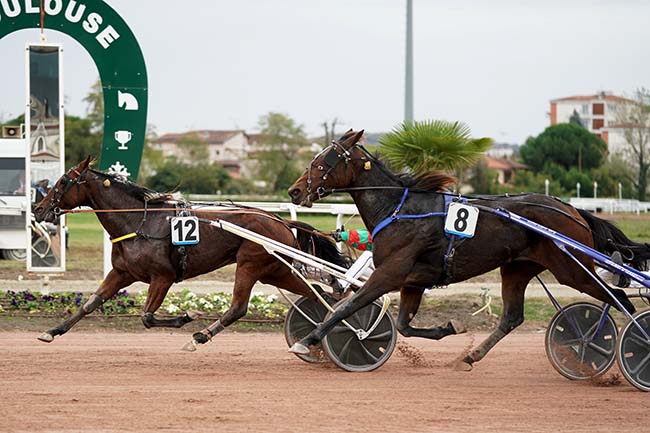 Photo d'arrivée de la course pmu PRIX HIPPODROME DE BEAUMONT DE LOMAGNE à TOULOUSE le Mercredi 25 octobre 2023