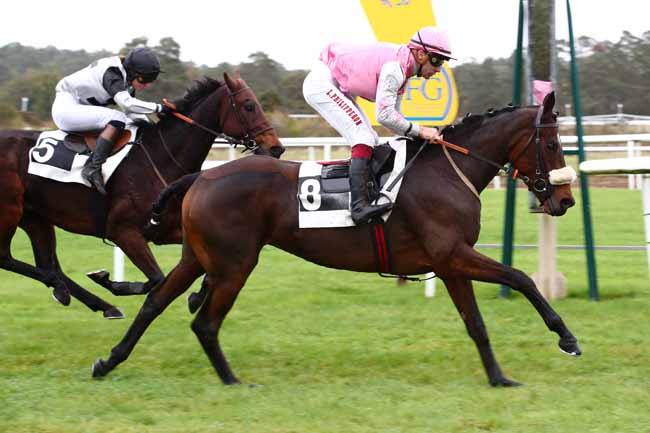 Photo d'arrivée de la course pmu PRIX DE LA ROUTE DES DEUX SOEURS à FONTAINEBLEAU le Jeudi 26 octobre 2023