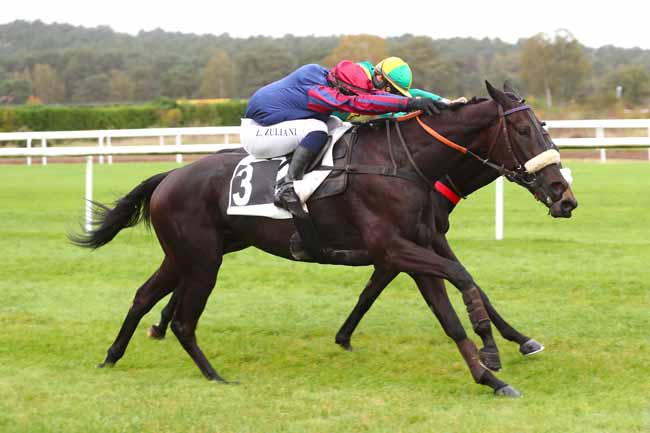 Photo d'arrivée de la course pmu PRIX DE THOMERY à FONTAINEBLEAU le Jeudi 26 octobre 2023