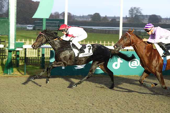Photo d'arrivée de la course pmu PRIX DU DOMAINE DE VALGENCEUSE à CHANTILLY le Vendredi 27 octobre 2023
