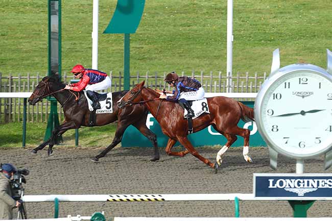 Photo d'arrivée de la course pmu PRIX DE L'AVENUE DE CONDE à CHANTILLY le Vendredi 27 octobre 2023