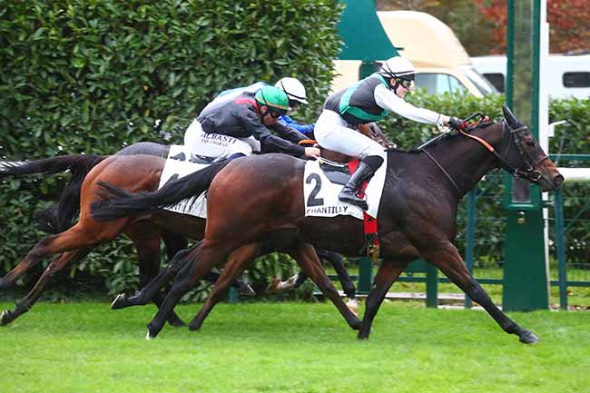 Photo d'arrivée de la course pmu PRIX DE LA VIEILLE ROUTE à CHANTILLY le Vendredi 27 octobre 2023