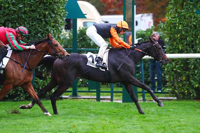 Photo d'arrivée de la course pmu PRIX DE SEINE-ET-OISE à CHANTILLY le Vendredi 27 octobre 2023