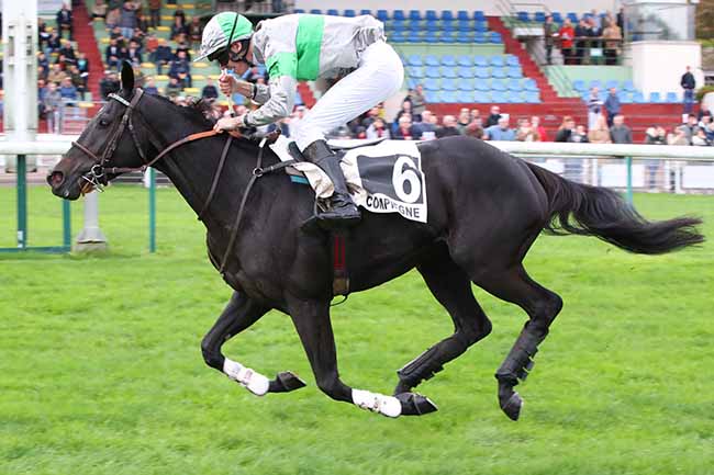 Photo d'arrivée de la course pmu PRIX VICTORIA BEACHCOMBER RESORT & SPA (PRIX COLONEL D'ENGLESQUEVILLE) à COMPIEGNE le Samedi 28 octobre 2023