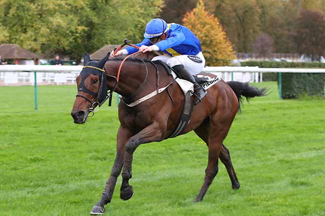 Photo d'arrivée de la course pmu PRIX DE L'OFFICE DU TOURISME DE L'ILE MAURICE (PRIX DE BESANCON) à COMPIEGNE le Samedi 28 octobre 2023