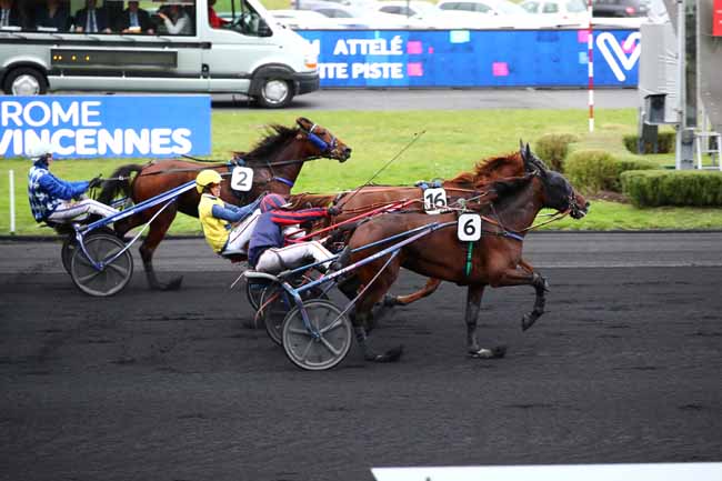 Photo d'arrivée de la course pmu PRIX D'AUVERGNE à PARIS-VINCENNES le Samedi 28 octobre 2023