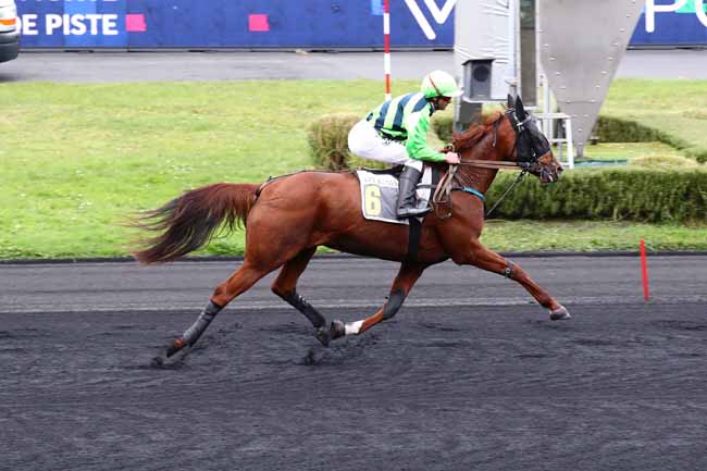 Photo d'arrivée de la course pmu PRIX DE BERCK-SUR-MER à PARIS-VINCENNES le Samedi 28 octobre 2023