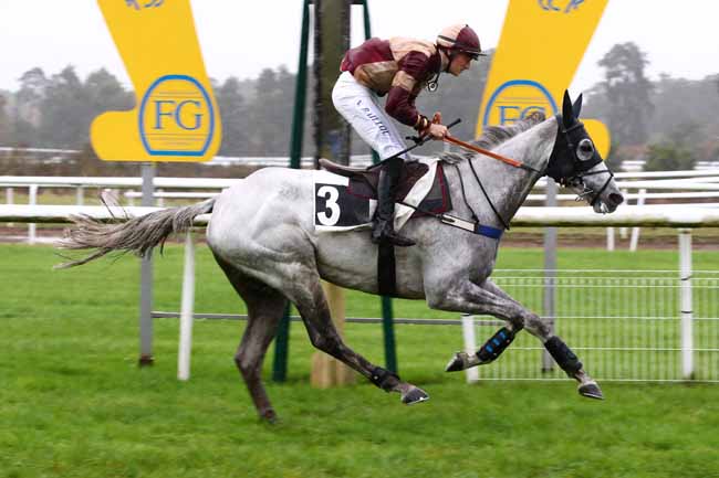 Photo d'arrivée de la course pmu PRIX PAUL TAVERNIER à FONTAINEBLEAU le Lundi 30 octobre 2023