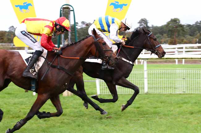 Photo d'arrivée de la course pmu PRIX DE LA CHAMBRE DE COMMERCE ET D'INDUSTRIE DE SEINE-ET-MARNE à FONTAINEBLEAU le Lundi 30 octobre 2023