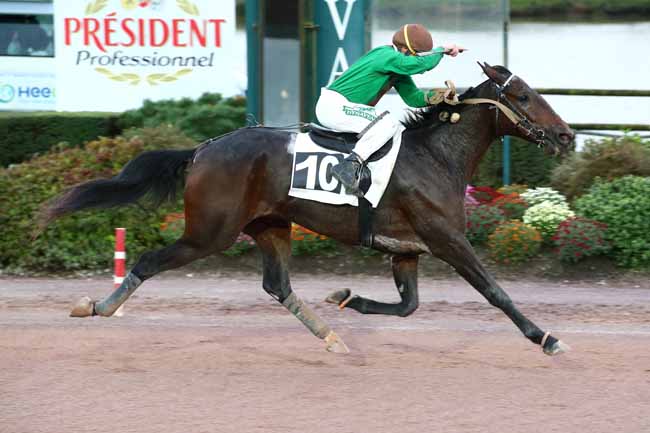 Photo d'arrivée de la course pmu PRIX ANNICK ET GEORGES DREUX à LAVAL le Mercredi 1 novembre 2023