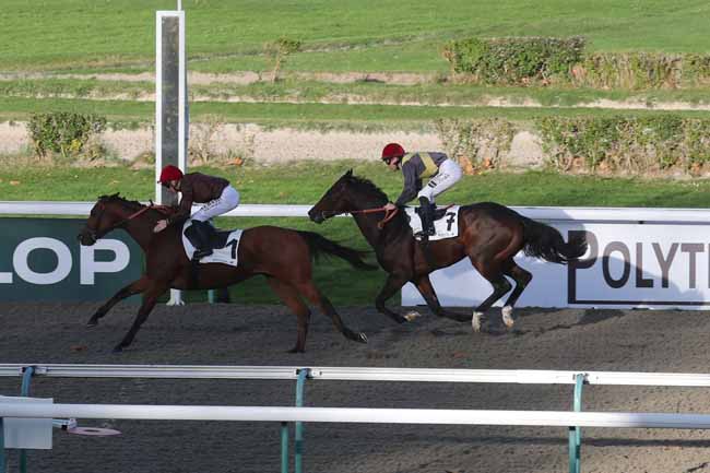 Photo d'arrivée de la course pmu PRIX IRISH RIVER - POLYTRACK CHALLENGE à DEAUVILLE le Dimanche 5 novembre 2023