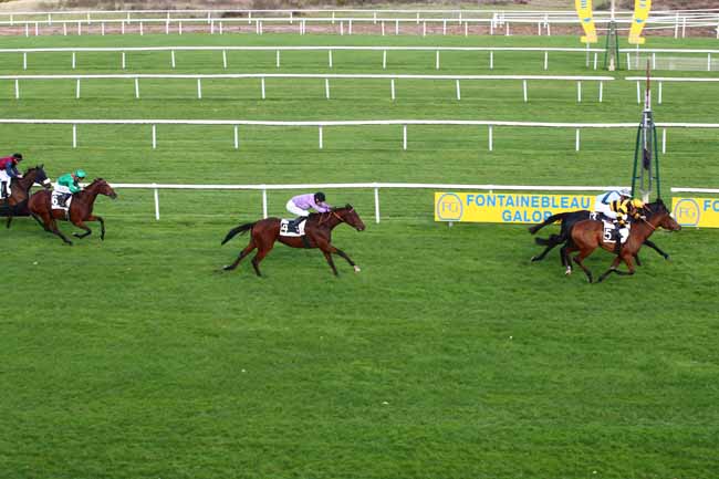 Photo d'arrivée de la course pmu PRIX JOUR DE GALOP à FONTAINEBLEAU le Mardi 7 novembre 2023