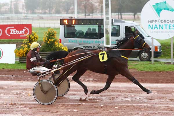 Photo d'arrivée de la course pmu PRIX MG STORE NANTES à NANTES le Mercredi 8 novembre 2023