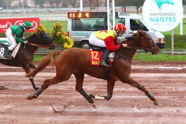Photo d'arrivée de la course pmu PRIX CASINO PARTOUCHE DE PORNIC à NANTES le Mercredi 8 novembre 2023