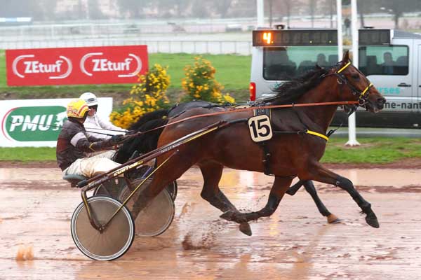 Photo d'arrivée de la course pmu PRIX REVERDY à NANTES le Mercredi 8 novembre 2023