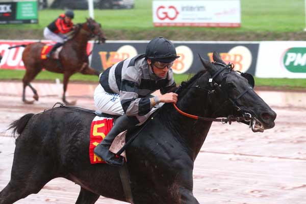 Photo d'arrivée de la course pmu PRIX V AND B NANTES EST à NANTES le Mercredi 8 novembre 2023